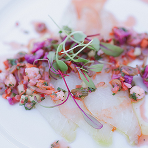 Ceviche Plate